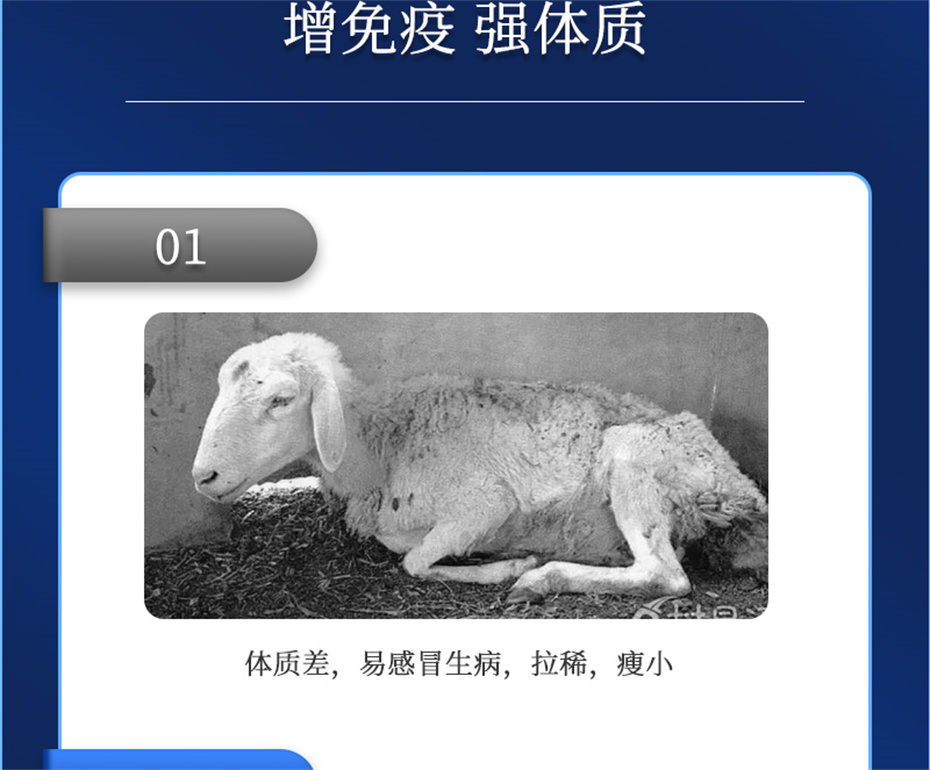 һ˶ţӼţ׳챦Ʒ