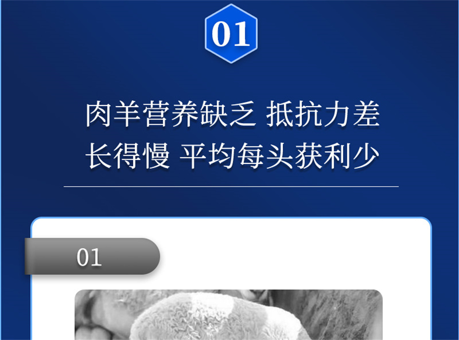 һ˶ӼƷ