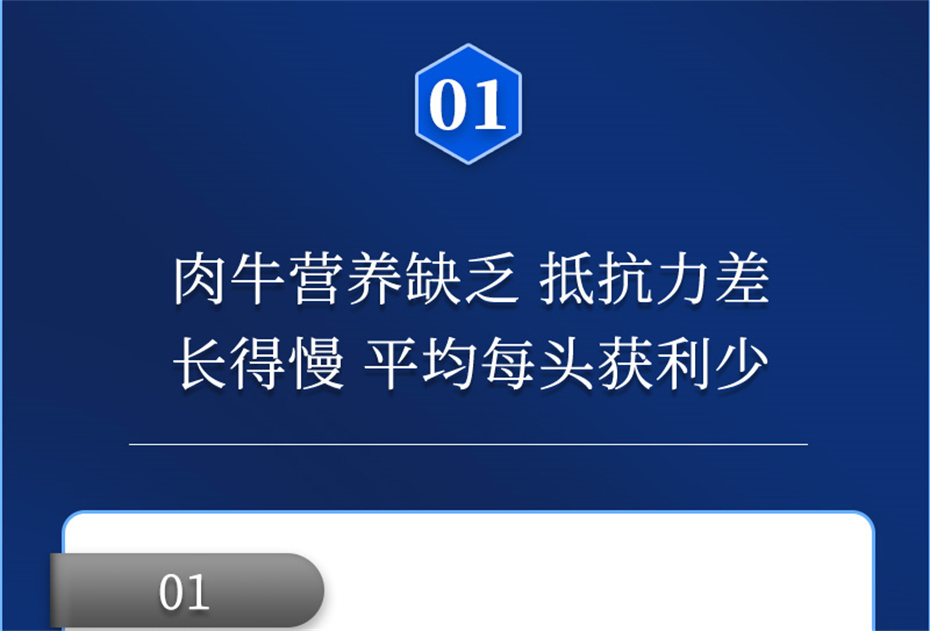 һ˶ţӼţƷ