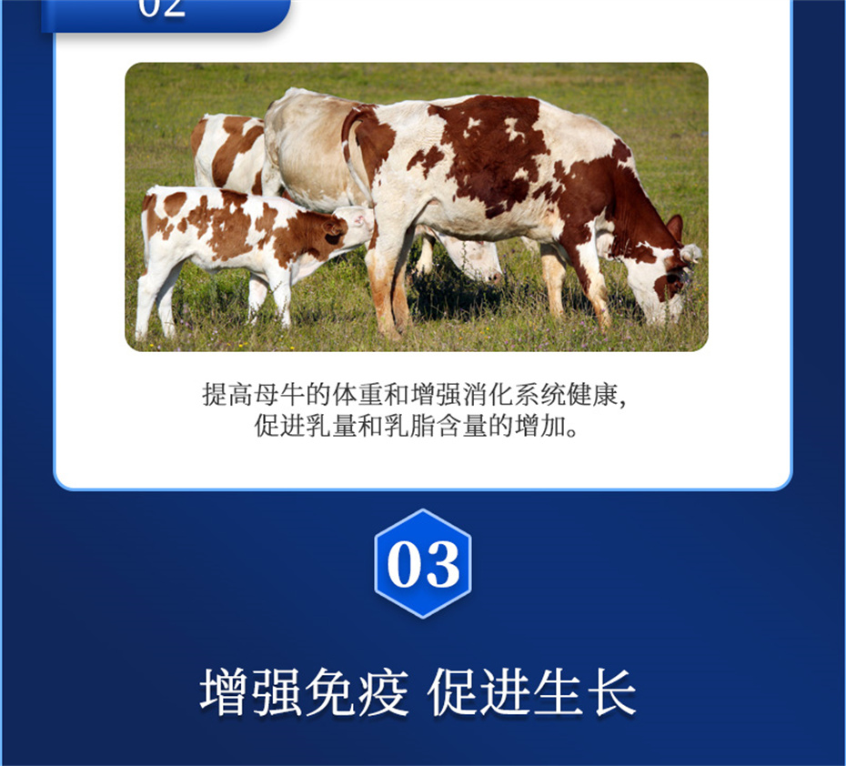 һ˶ţӼѪţƷ