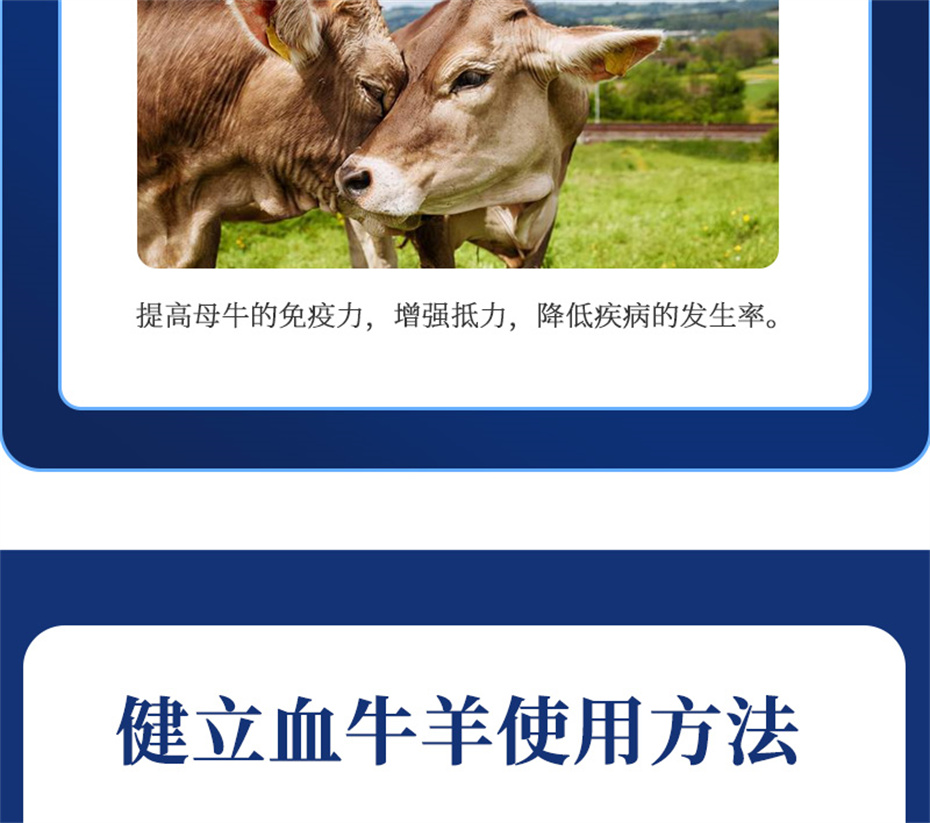 һ˶ţӼѪţƷ
