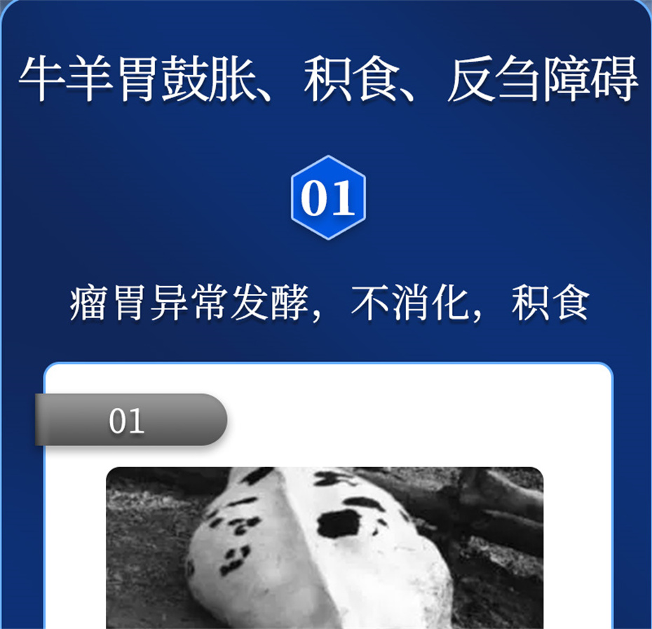 һ˶ţӼθƷ