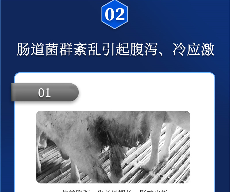 һ˶ţӼθƷ