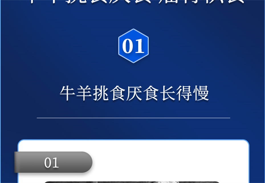 һ˶ţӼţ׳챦Ʒ