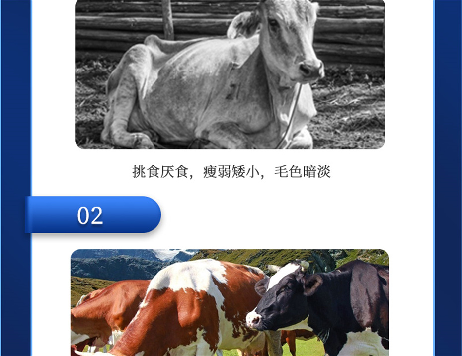 һ˶ţӼţ׳챦Ʒ