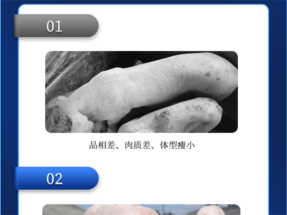 һ˶ӼĸͨƷ