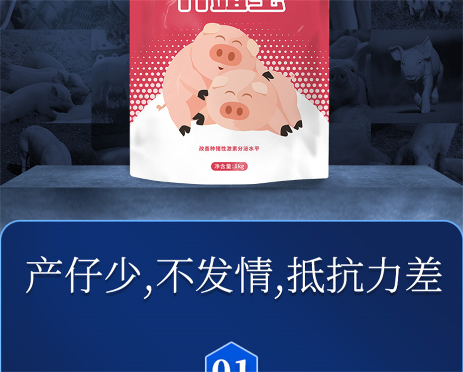 һ˶ӼֳƷ