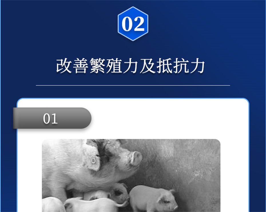 һ˶ӼֳƷ