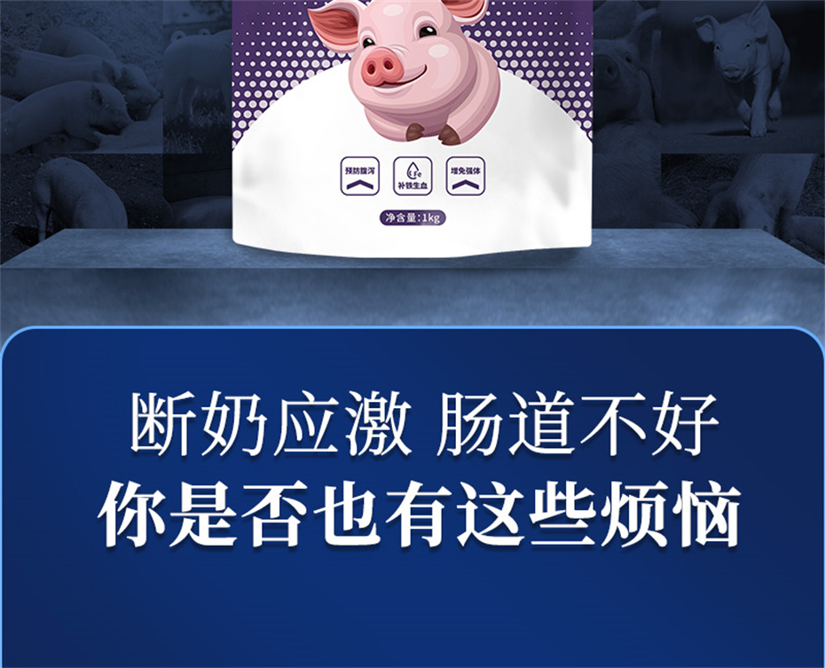һ˶ӼƷ