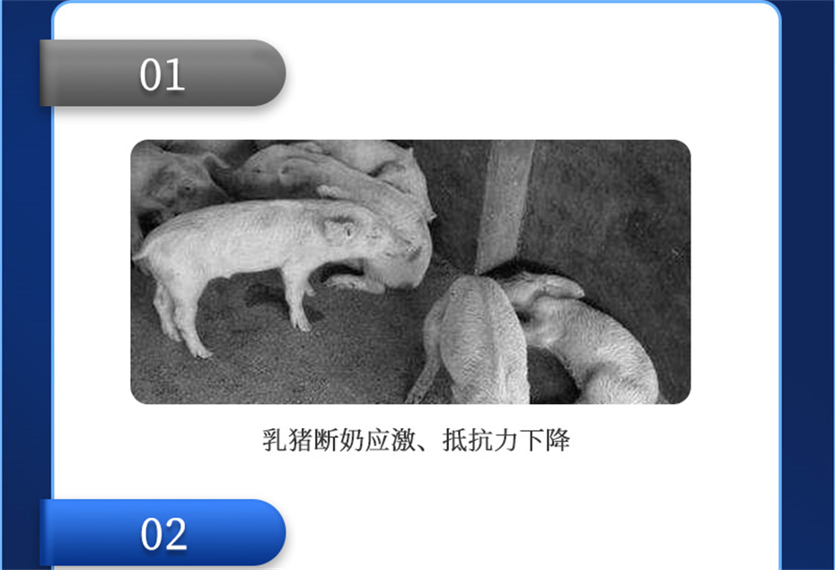 һ˶ӼƷ