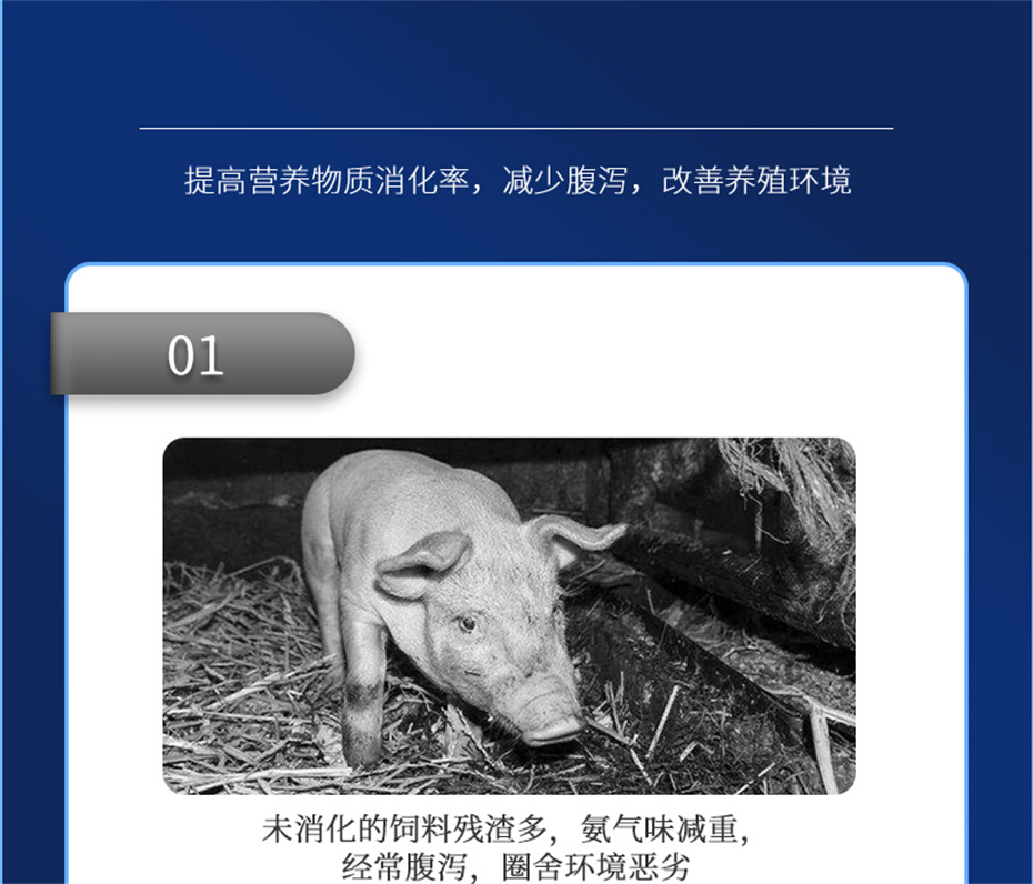 һ˶ӼƷ