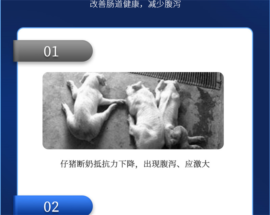 һ˶ӼƷ
