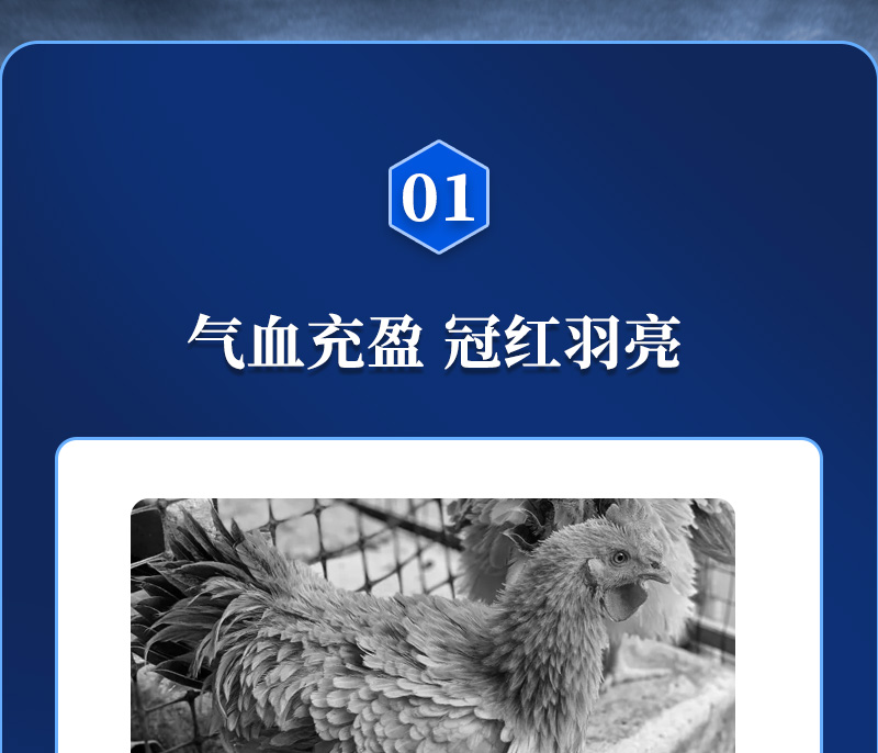 쵰ʦҳ_02