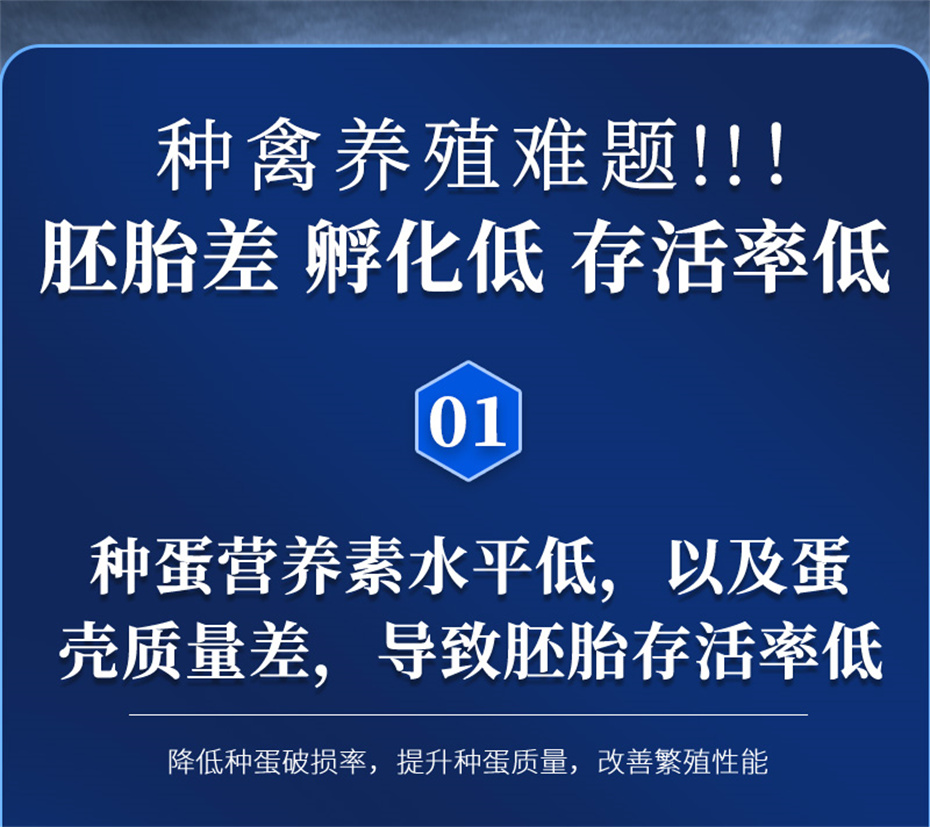 һ˶ӼƷ