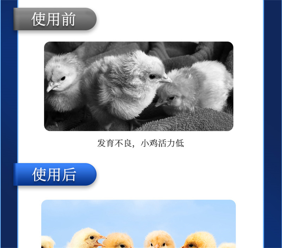 һ˶ӼƷ
