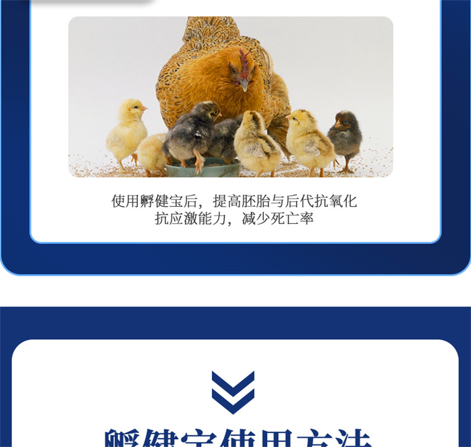 һ˶ӼƷ