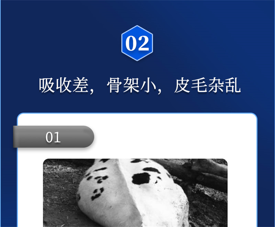 һ˶ţӼţԪ˧Ʒ