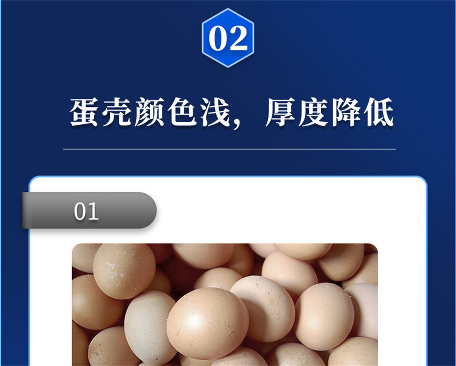 һ˶ӼǿǱƷ