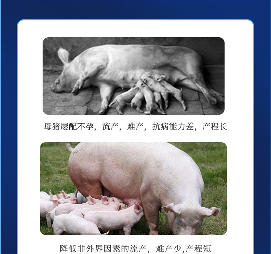 һ˶ӼѪƷ