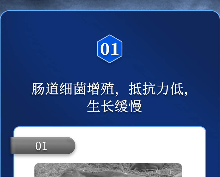 һ˶ӼŶĲƷ