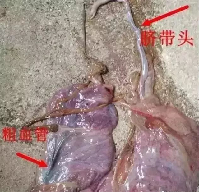 жĸǷ1ͷ